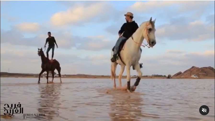 فيديو مثير لفرسان مربط ناصر السعودي "كأنهم يطيرون فوق المياه بالخيول"