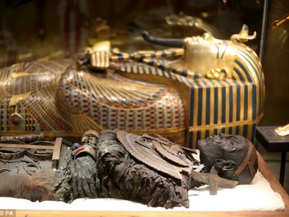 صور "العربات الفرعونية" لبروفة موكب المومياوات الملكية تشعل السوشيال ميديا