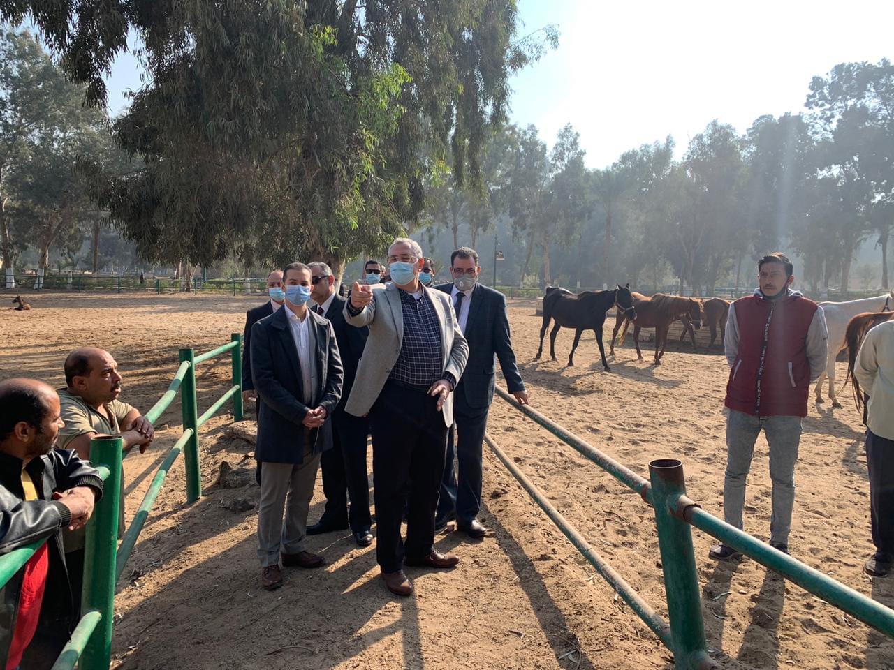 بالصور.. وزير الزراعة يطلب رفع كفاءة محطة الزهراء وتوفير رعاية صحية للخيول