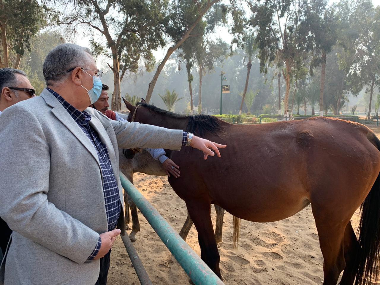 بالصور.. وزير الزراعة يطلب رفع كفاءة محطة الزهراء وتوفير رعاية صحية للخيول