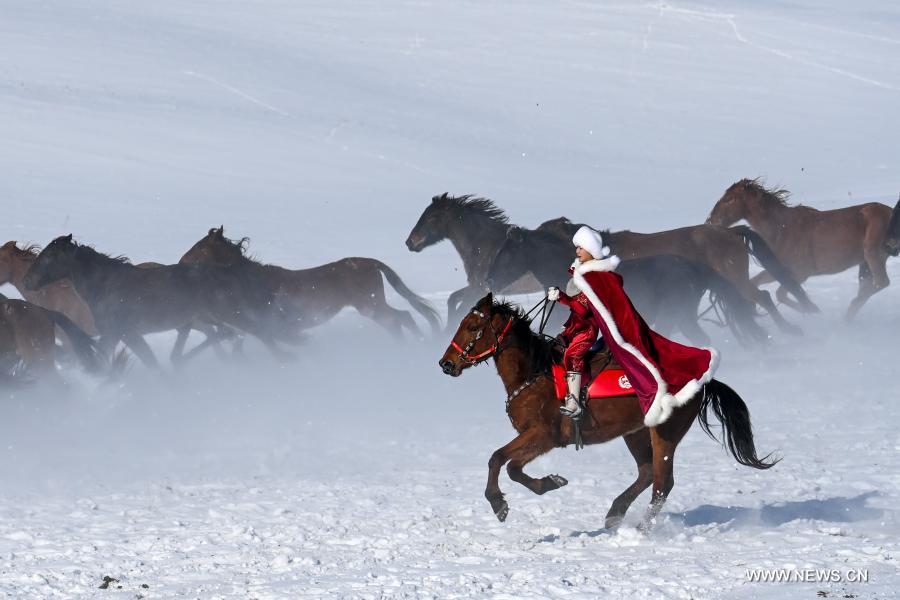 بالصور.. أفضل سلالات الخيول الصينية تتسابق على الجليد