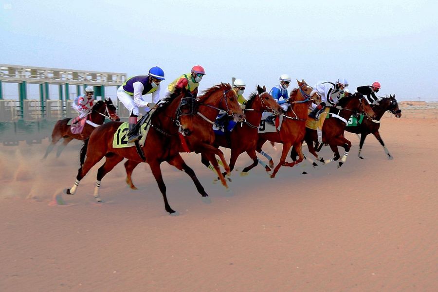 بالصور.. أسماء الخيول الفائزة في السباق الـ 15 لفروسية الأحساء