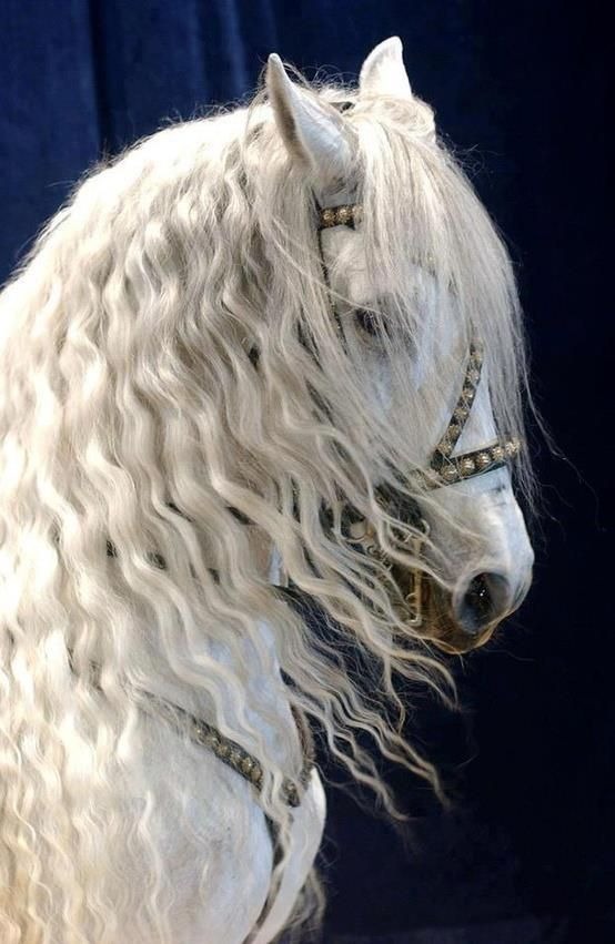 قالوا في وصف الحصان الأبيض: خيلٌ ووردٌ حُسن زادَ بالحُسْنٌ حُسْنًا