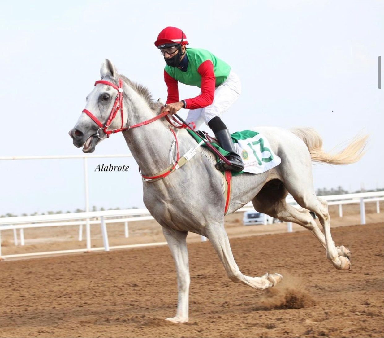  5  معلومات عن الحصان الربع الخالي بطل كأس التعاون الخليجي