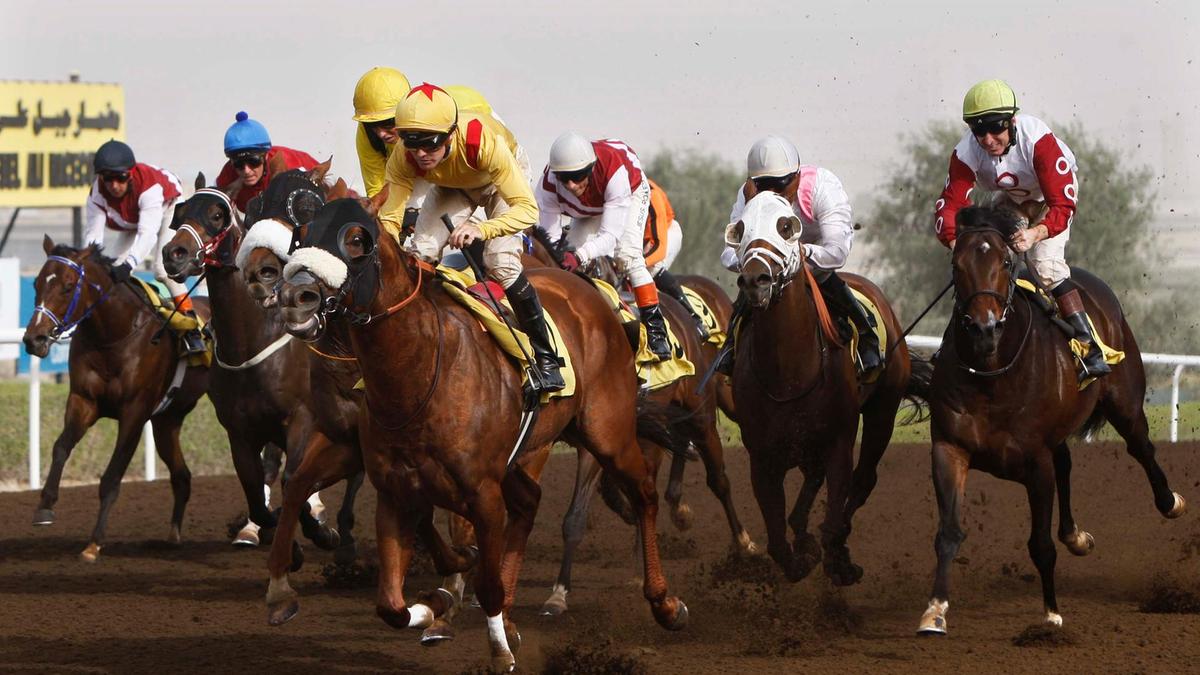 "السهوج" و"منصف" يخطفان جوائز سباق ديرة للخيول العربية الأصيلة على مضمار جبل علي