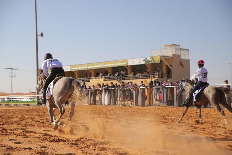 بالصور.. الحصان "شامخ الرأس" يحسم المنافسة مع "سلطان جودة" لصالحه في سباق الماراثون الرابع بالسعودية
