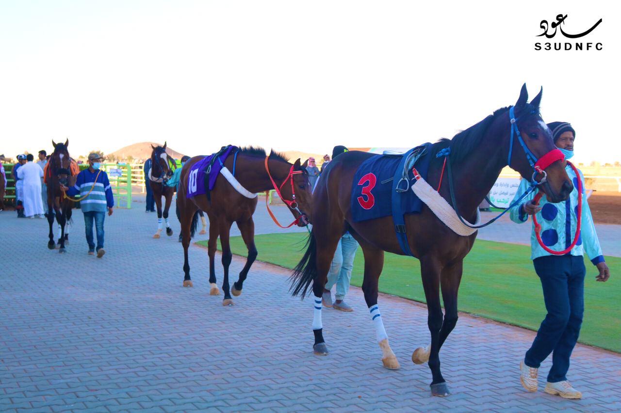 بالصور.. فوز الخيول "جودة" و"يستثمر" في حفل فروسية المجمعة السعودي