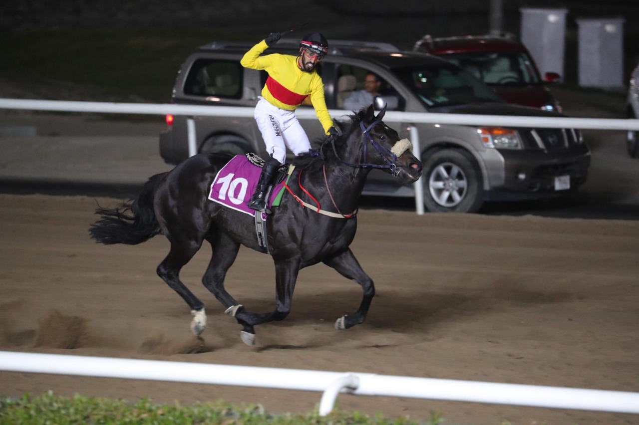 الحصان بدر الخير يحقق رقم قياسي لمسافة 1200 متر بسباقات نادي الصيد والفروسية الكويتي