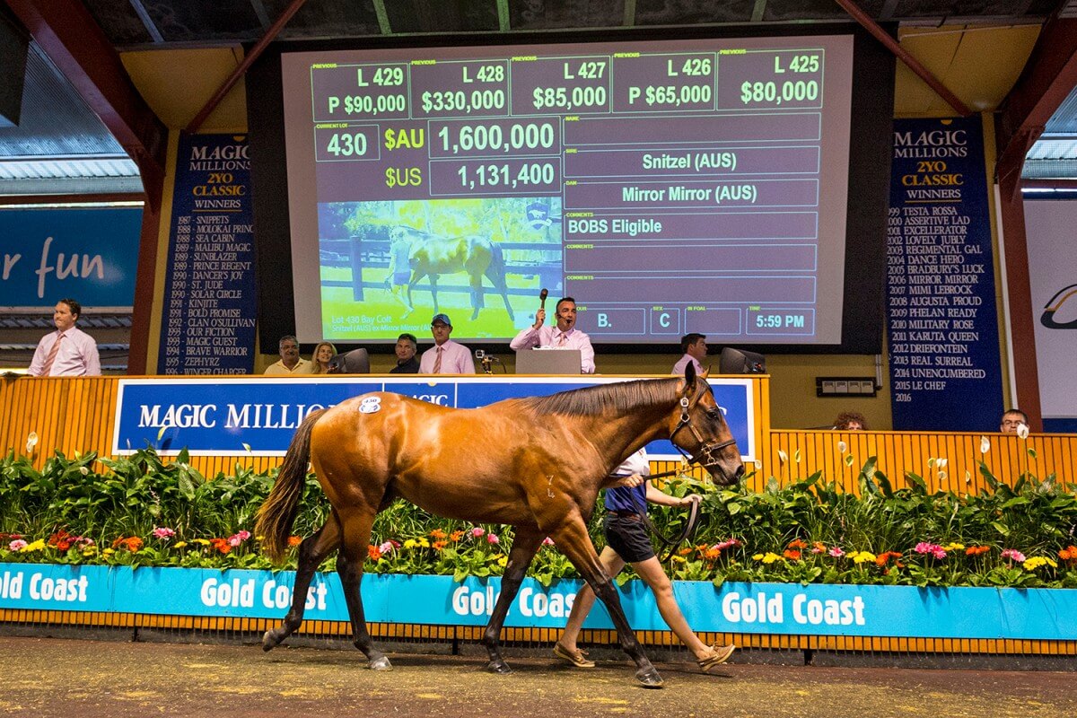 بالصور.. مبيعات مذهلة للخيول في مزاد ماجيك مليونز الأسترالي تخطت 162 مليون دولار
