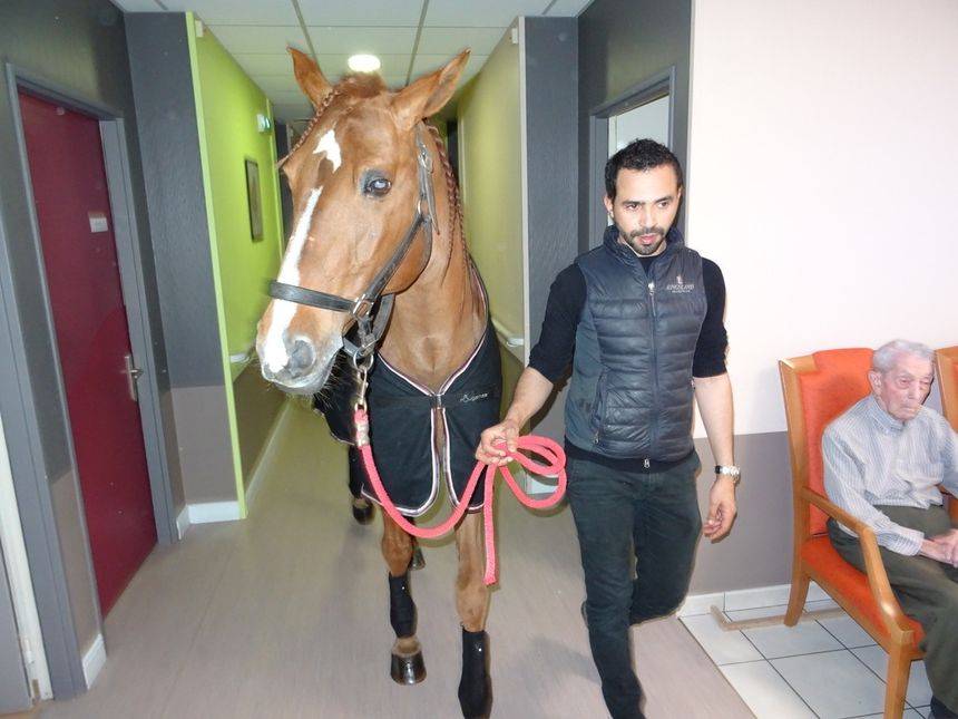 شاهد.. "بيو" الحصان الطبيب يزور الأطفال المرضى والمسنين في فرنسا