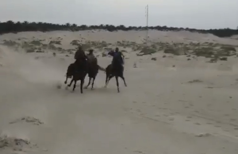 بالفيديو.. جمعية فرسان الصحراء التونسية: نتحدى المخاطر لإمتاع المشاهد بعروضنا