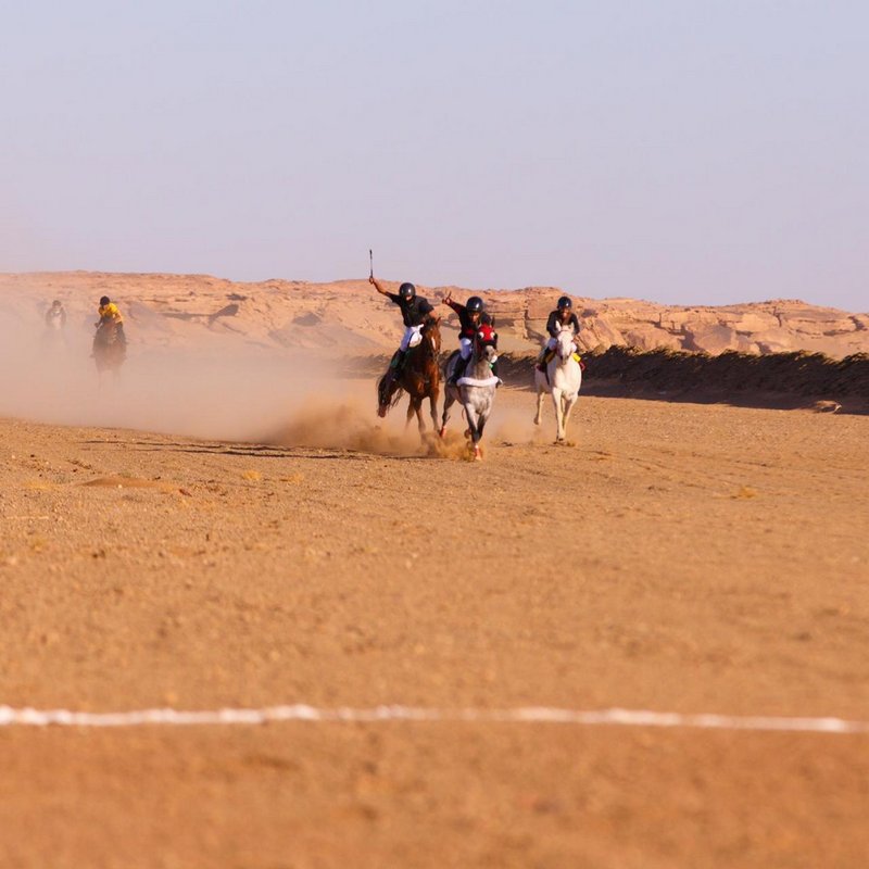 بالصور.. فرسان تيماء يتحدون كورونا بسباقات الخيول في السعودية