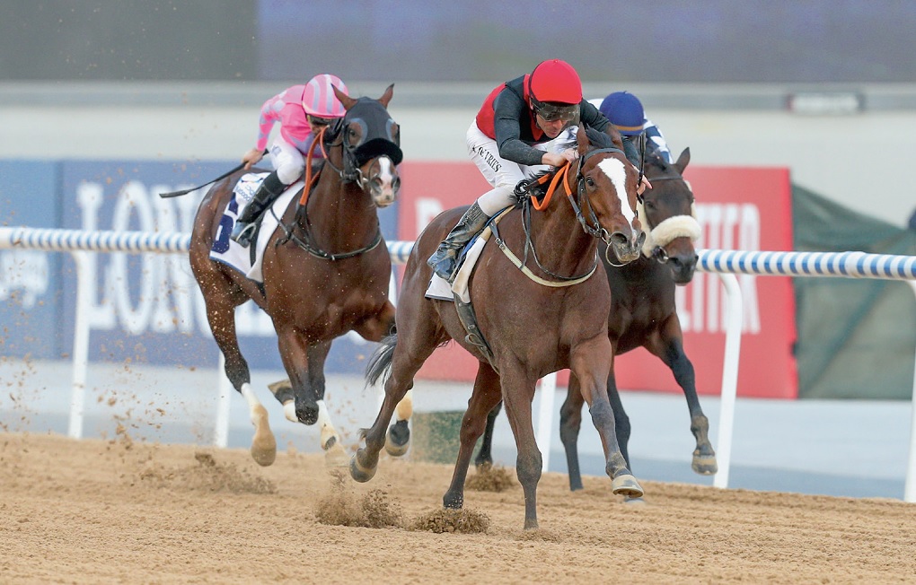 خيول جودلفين الإماراتي تحقق 60 فوزا في 2020