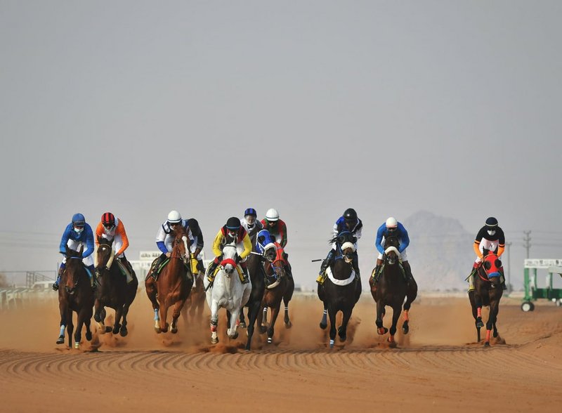 اليوم.. ميدان فروسية حائل السعودي ينظم سباق الحفل الـ13 بمشاركة 60 حصانا