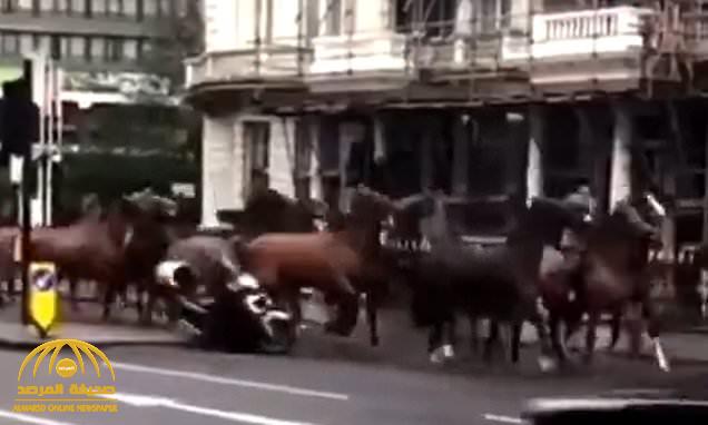 شاهد.. حصان ملكي يمنع سائق دراجة نارية من اقتحام موكب في شوارع لندن