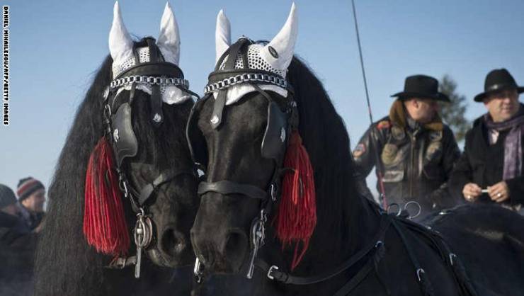 شاهد.. أجمل طقوس "تعميد الخيول" في رومانيا بمناسبة عيد الغطاس
