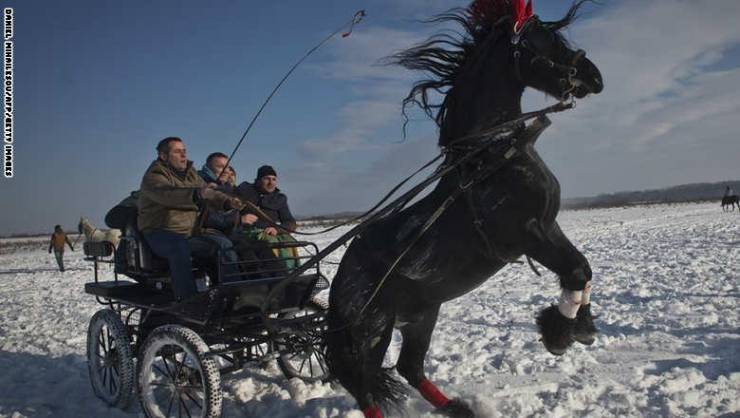 شاهد.. أجمل طقوس "تعميد الخيول" في رومانيا بمناسبة عيد الغطاس