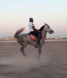 بالصور.. حفيد عائلة المهدي يروي تفاصيل تربية الخيول على مر التاريخ السوداني
