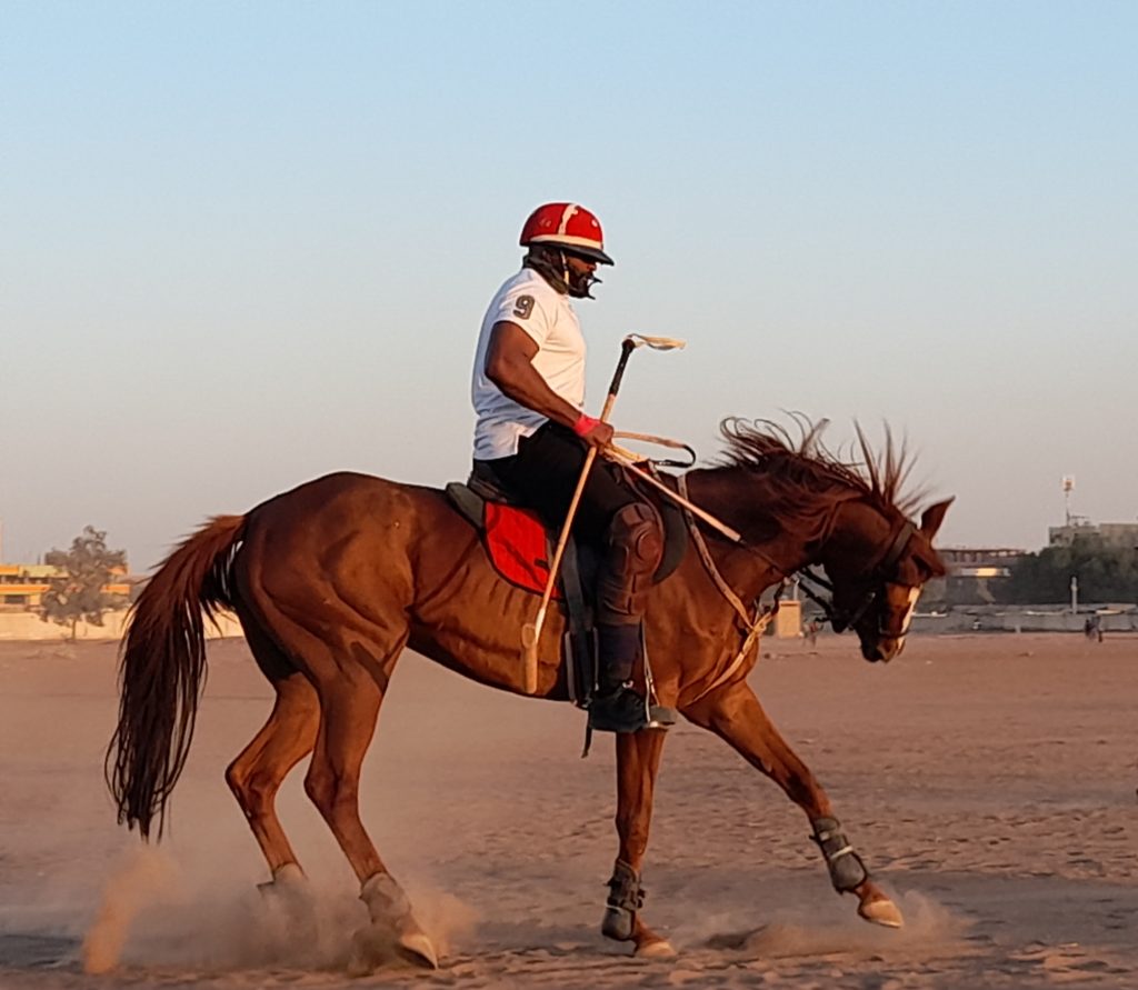 بالصور.. حفيد عائلة المهدي يروي تفاصيل تربية الخيول على مر التاريخ السوداني