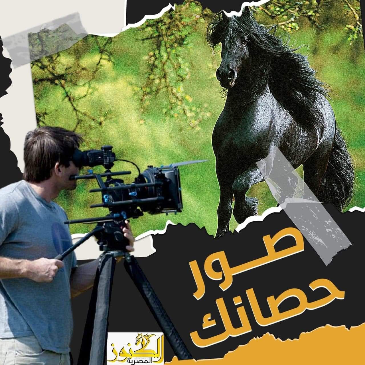 "الكنوز المصرية" تطلق مبادرة "صور حصانك" لتنمية روح الفروسية في العالم العربي