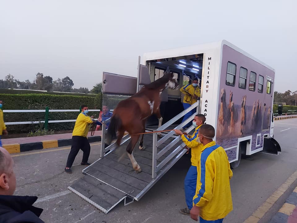 رئيس شركة إتقان لـ"الكنوز المصرية: سيتم تسليم عربة نقل الخيول مصرية الصنع لمربط الجوهرة خلال 60 يوما
