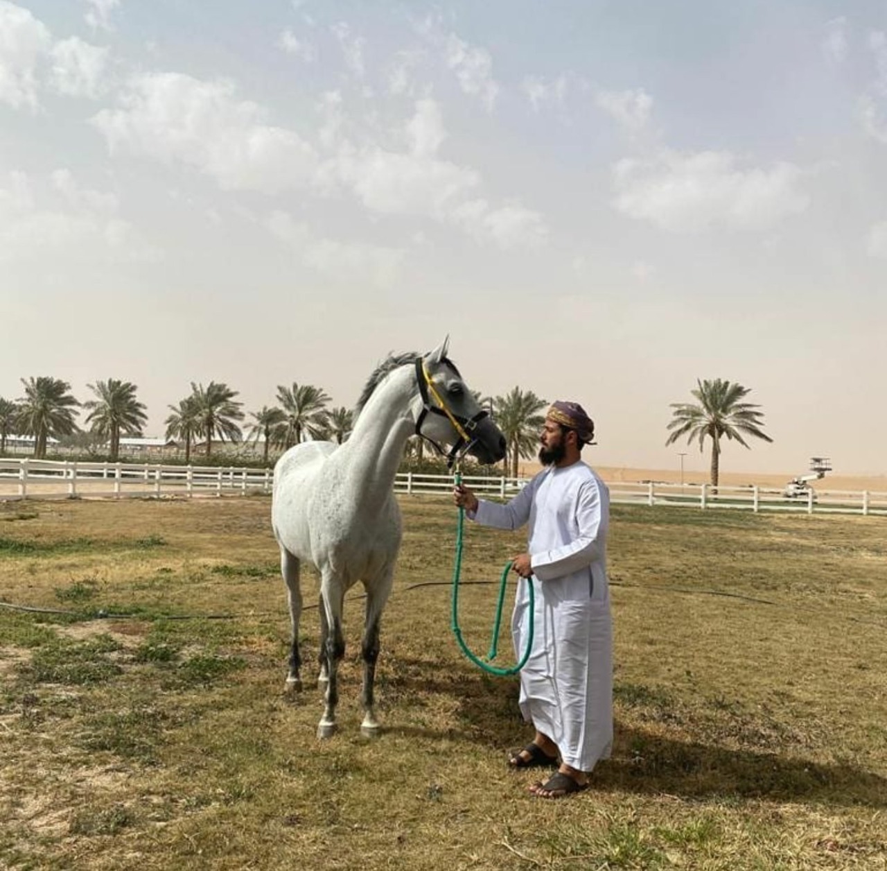 الأمير خالد بن سلطان يهدي فيصل السنيدي الحصان صريح الخالدية عوضا عن نفوق حصانه 