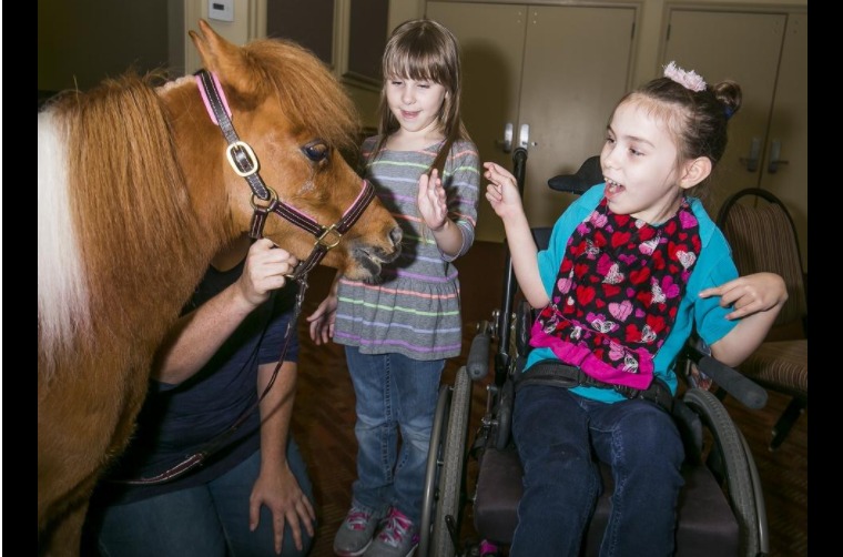 بالصور.. الحصان "هني" يداعب الأطفال في مطعم بريطاني
