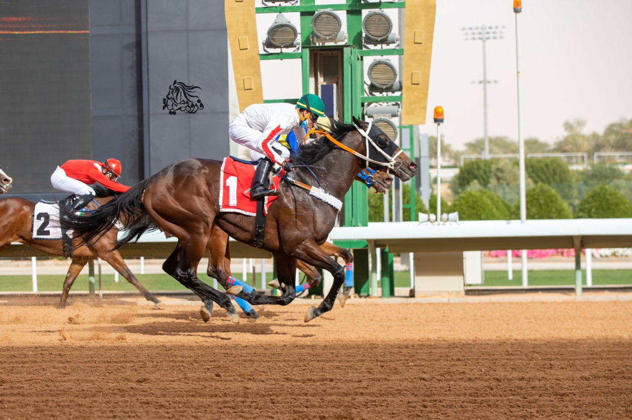 الحصان "ووك إن ذا ساند" يفوز بجائزة الحفل الـ 49 لميدان الملك عبد العزيز (صور)