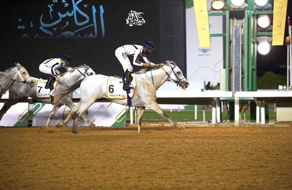 بالصور.. الحصان "مشرف" بطلاً لـ كأس السعودية 2021.. تعرف على أبطال الأشواط الثمانية