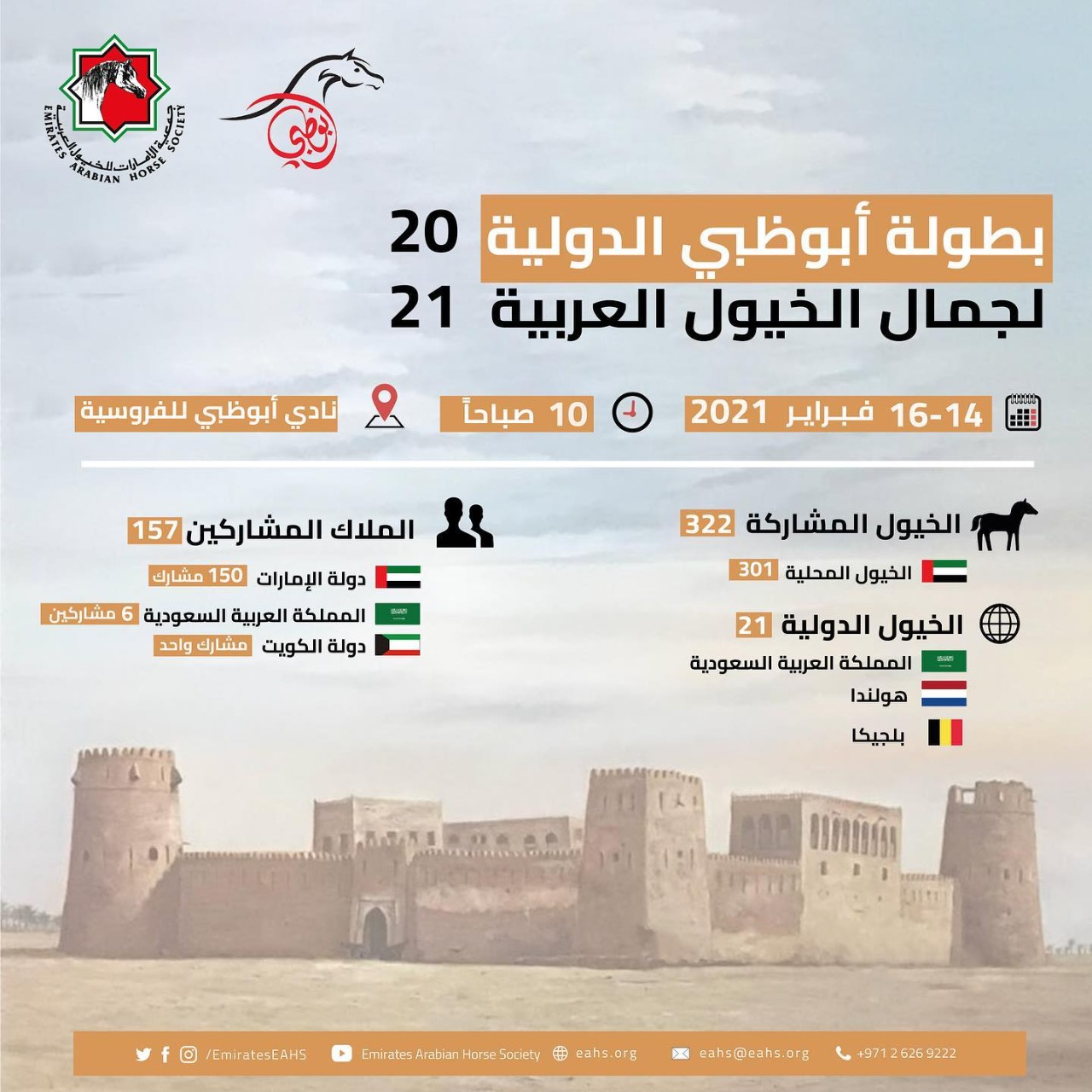 322 حصانا يشاركون ببطولة أبو ظبي لجمال الخيول العربية 2021