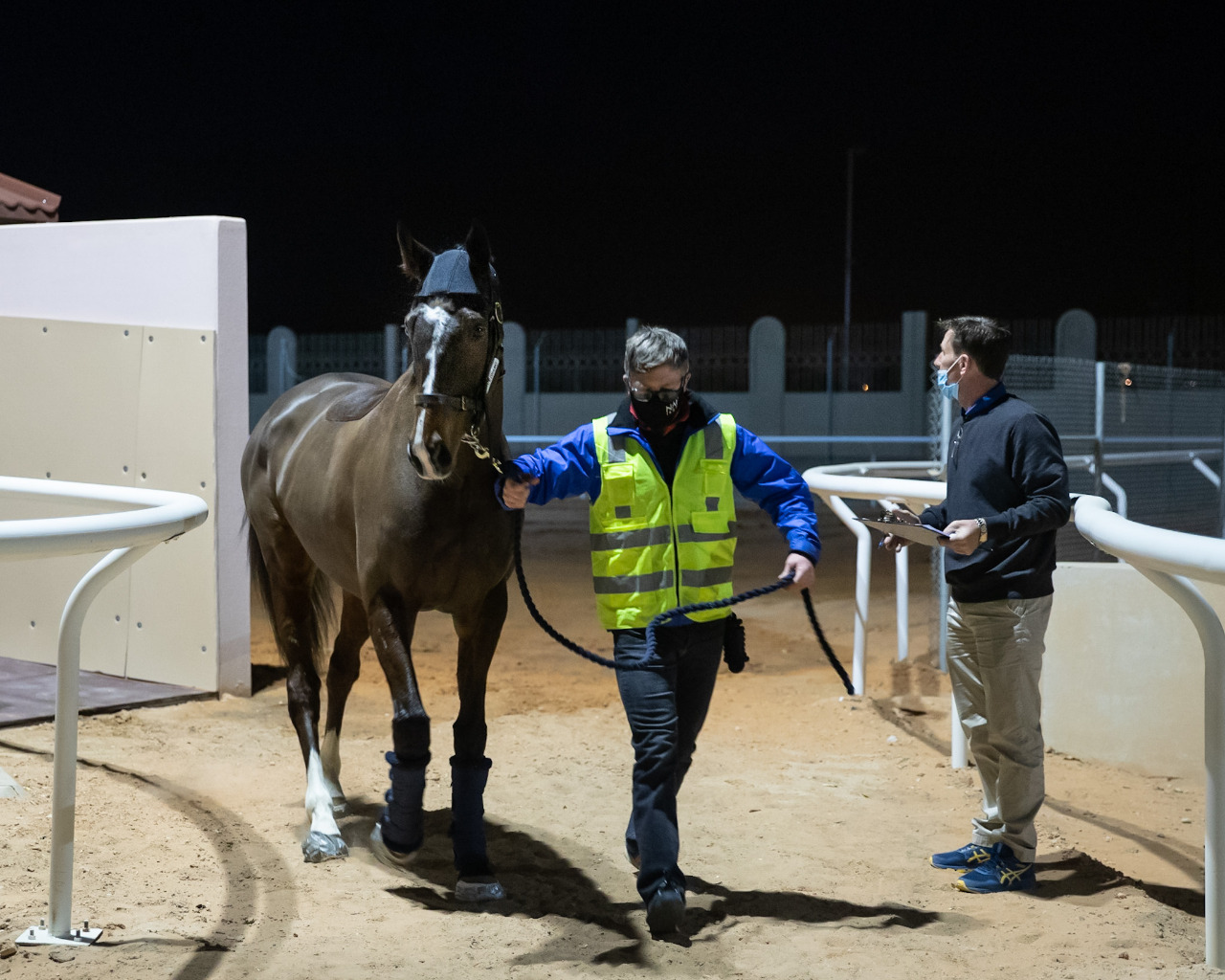الحصان مشرف يصل إلى الرياض للمشاركة بشوط كأس السعودية (فيديو)