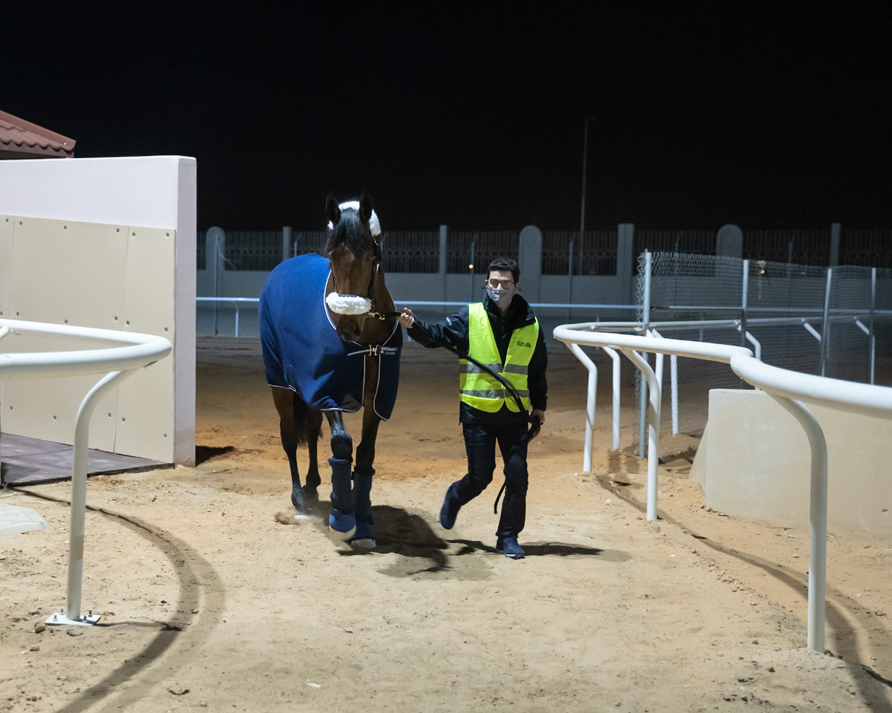 الحصان مشرف يصل إلى الرياض للمشاركة بشوط كأس السعودية (فيديو)