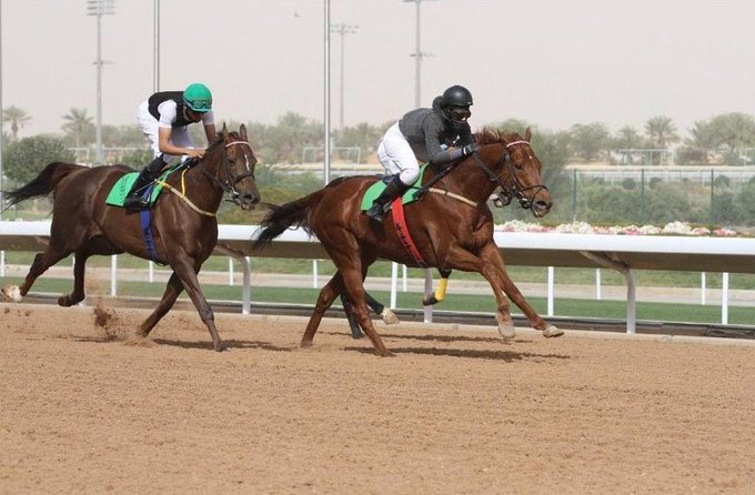 المدربة السعودية مضاوي القحطاني تتجه لعالم سباقات خيول السرعة