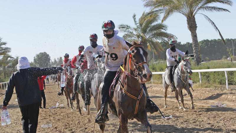 وزن الفارس 55 كيلو.. أبرز شروط المشاركة في "كأس حتا" للقدرة في دبي