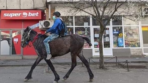 بالصور.. رجل روماني يمتطي حصاناً لمسافة 40 كيلومترًا لرؤية زوجته