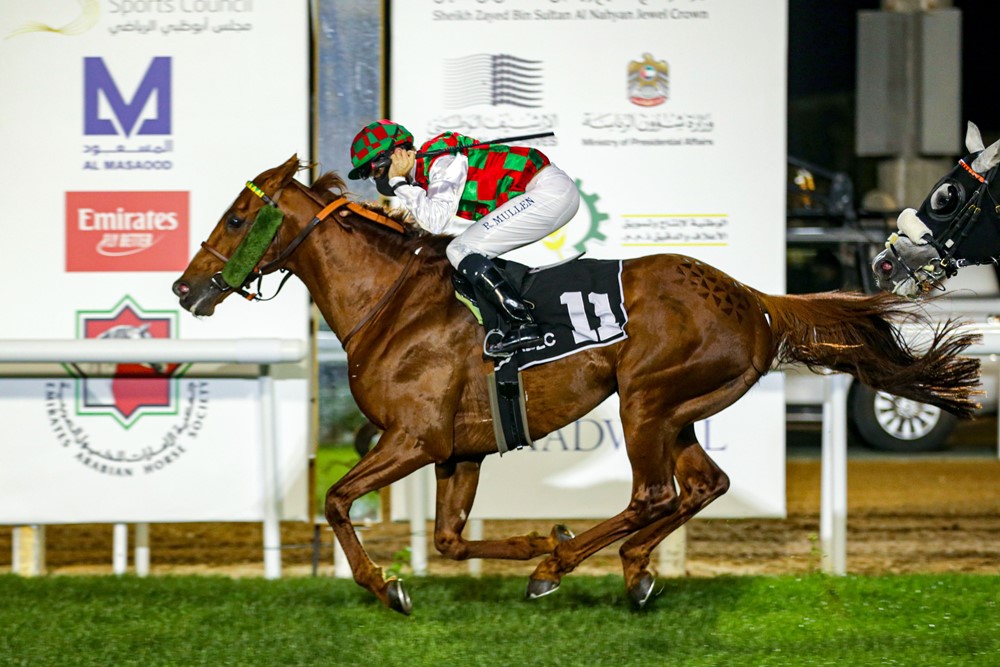 بالصور.. تتويج الحصان صمود بطلاً للخيول العربية الأصيلة بالإمارات