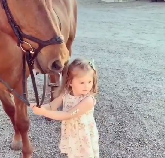 شاهد.. "المدربة الصغيرة" طفلة تساعد والدها على ركوب الحصان