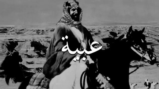8 معلومات عن الفرس "عبيه" أشهر خيول الملك عبدالعزيز 