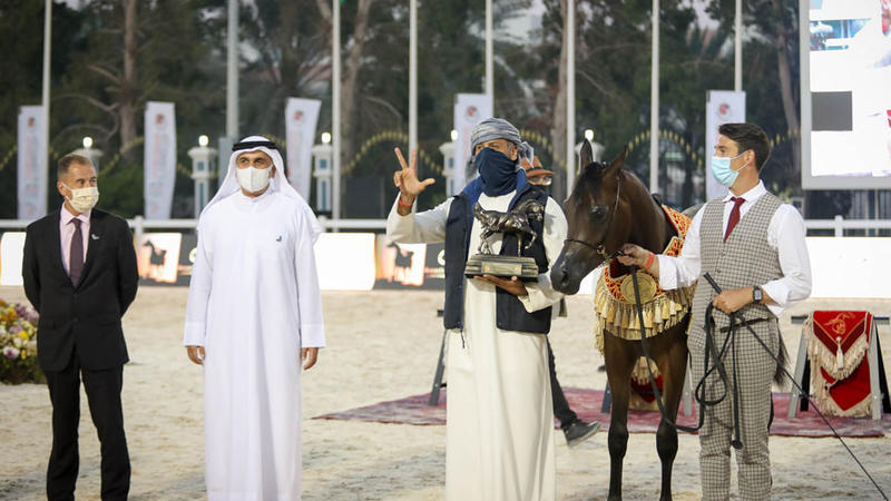 بالصور.. خيول مربط دبي تحصد 4 ذهبيات في بطولة أبوظبي لجمال الخيل