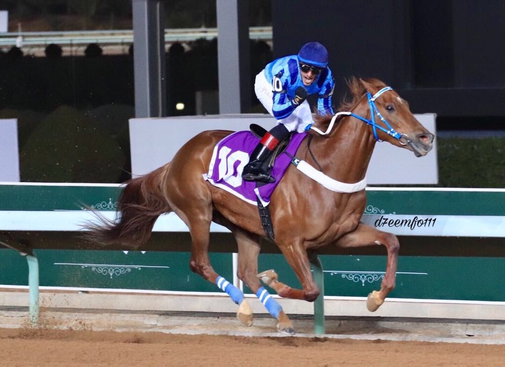 بالأسماء.. أبرز الخيول السعودية المشاركة في شوط نادي سباقات الخيل هانديكاب بكأس السعودية2021