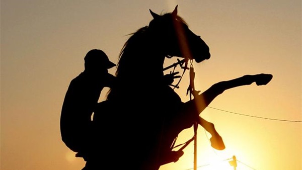 كيف يؤثر وزن الفارس على أداء الحصان في السباقات؟