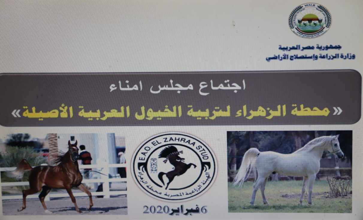 وزير الزراعة يترأس أول اجتماع لمجلس أمناء محطة الزهراء للخيول العربية