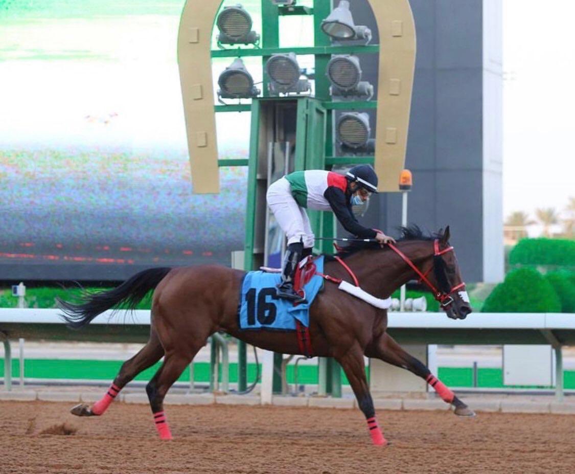 الحصان "ولد أخيل" بطل كأس المؤسس يحجز مقعده بأمسية كأس السعودية 2021