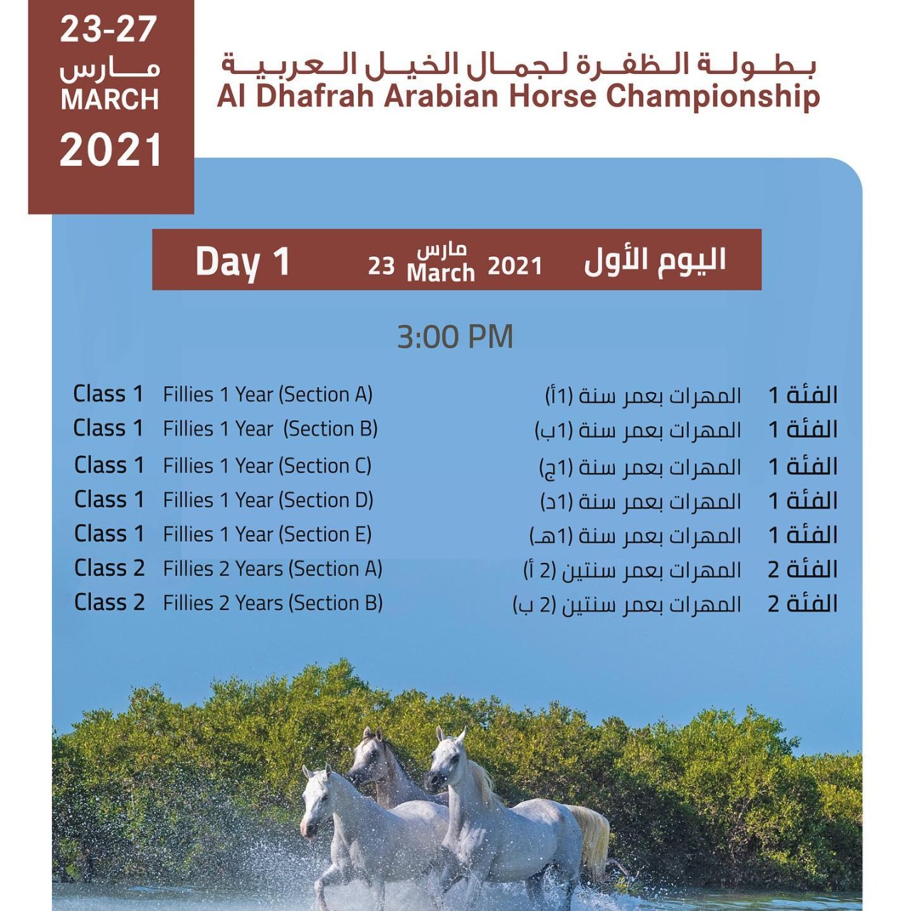 إعلان تفاصيل برنامج بطولة الظفرة لجمال الخيل العربية 2021