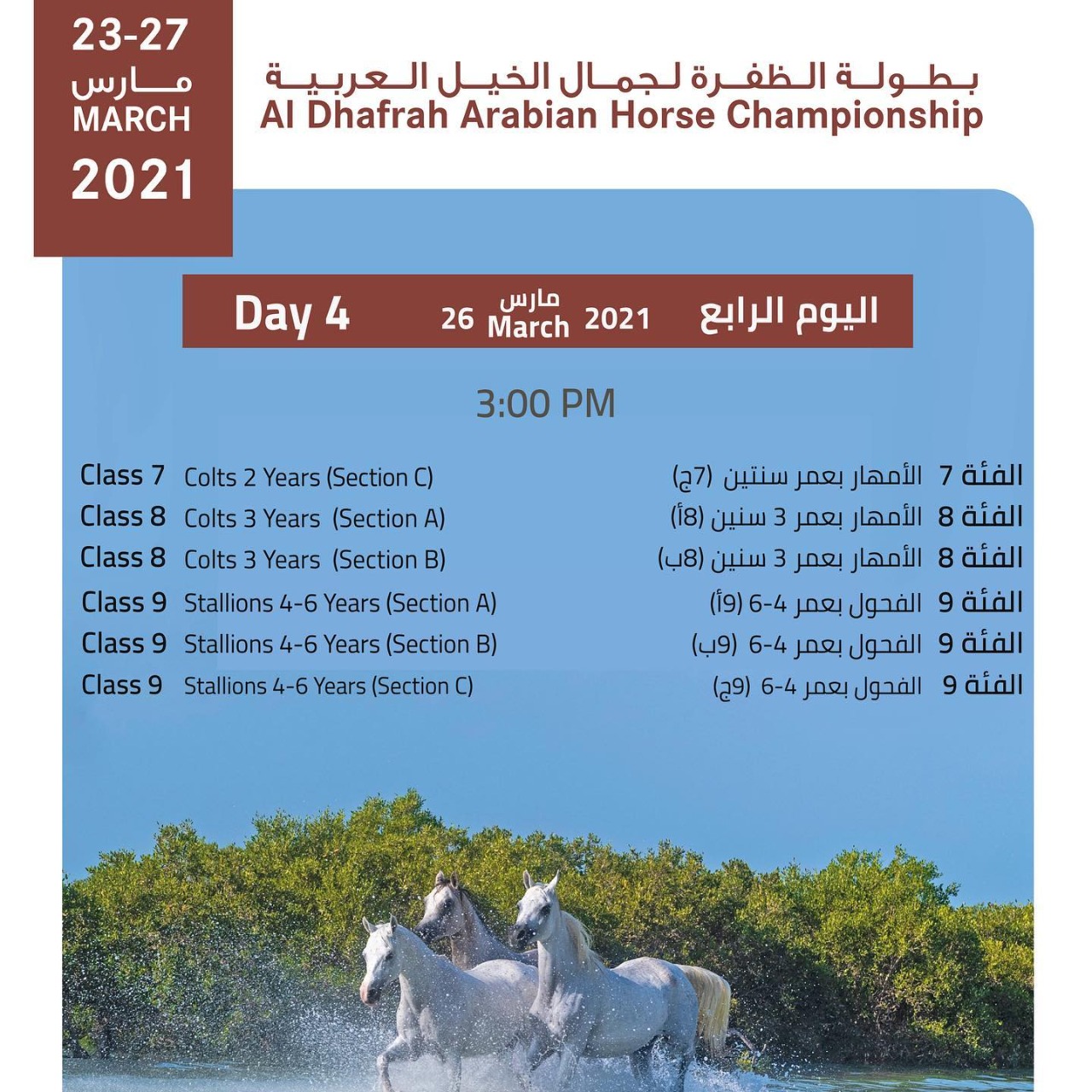إعلان تفاصيل برنامج بطولة الظفرة لجمال الخيل العربية 2021
