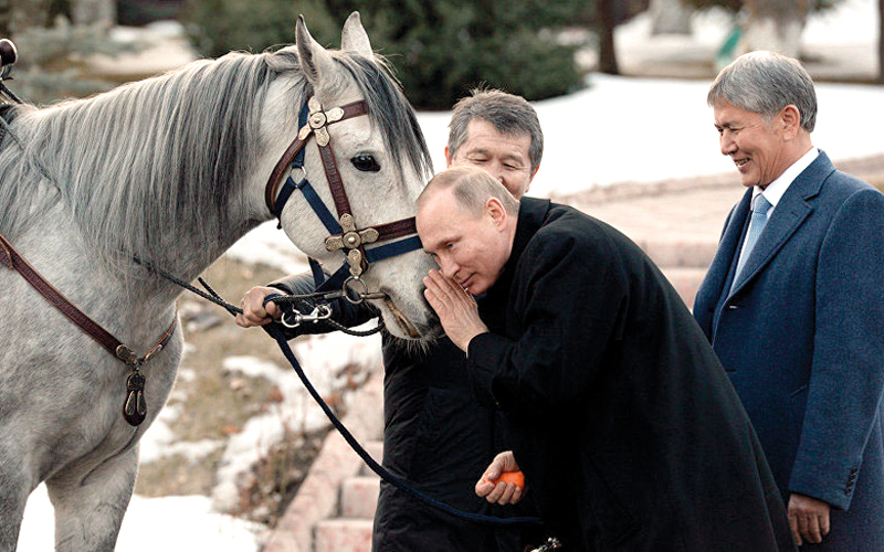 الرئيس الروسي فلاديمير بوتين يروي قصة سقوطه من أعلى الحصان