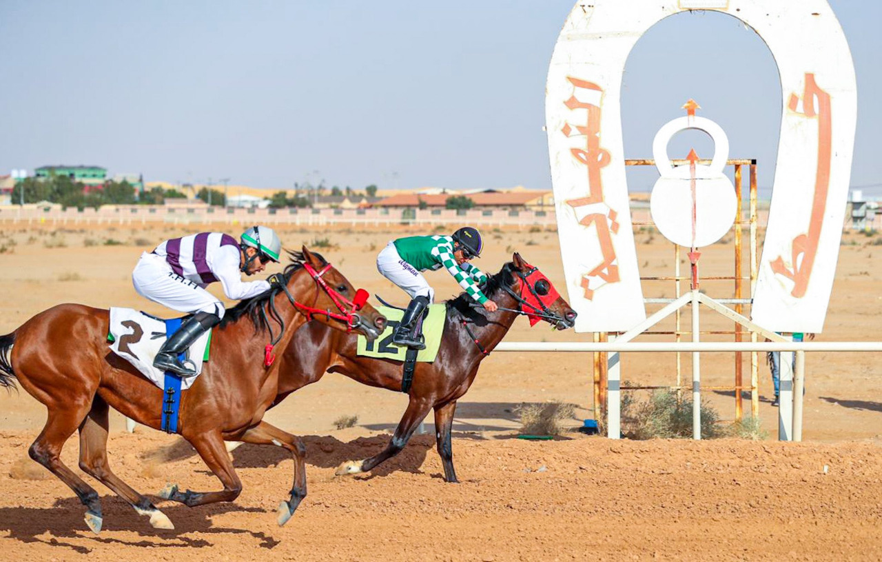 7 خيول تفوز بأشواط الحفل الـ 21 لميدان الجنادرية السعودي (فيديو وصور)