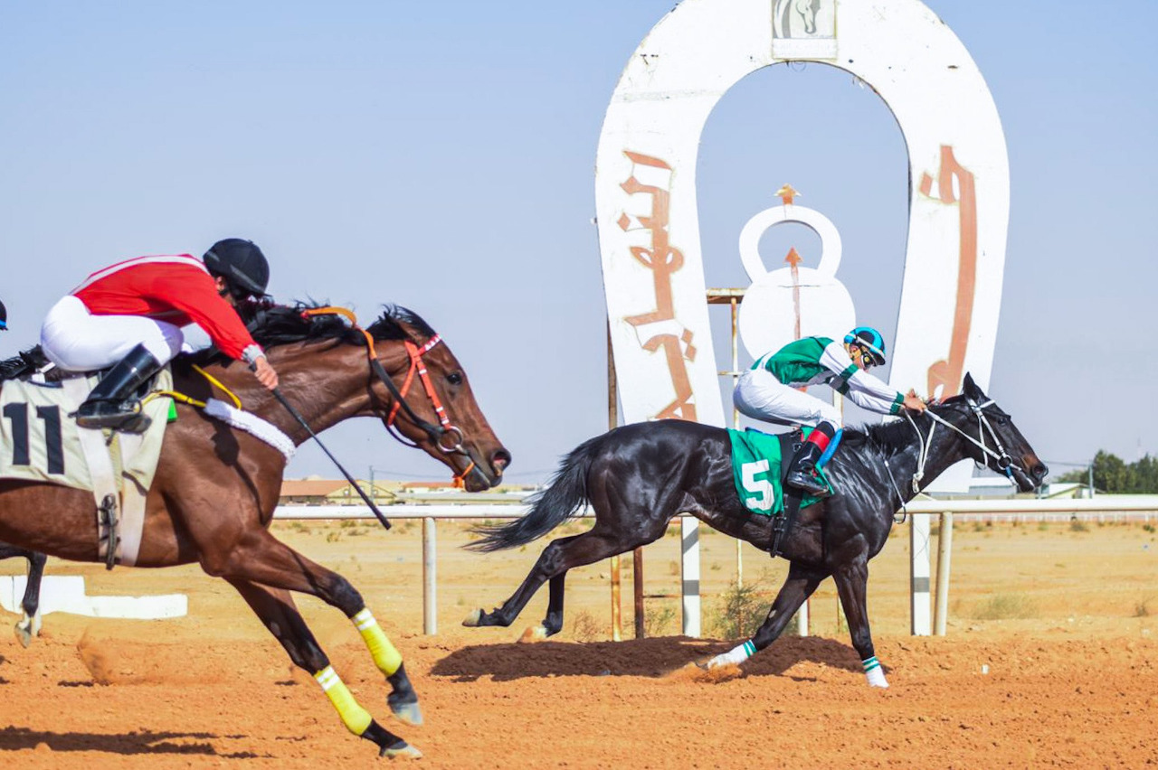 7 خيول تفوز بأشواط الحفل الـ 21 لميدان الجنادرية السعودي (فيديو وصور)