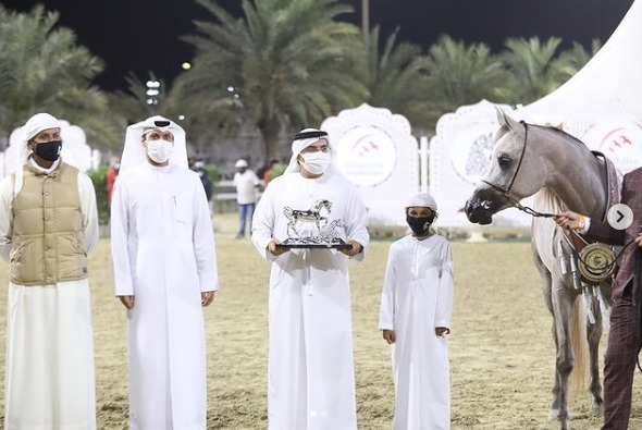 بالصور.. مربط دبي يفوز بـ 3 ميداليات في مهرجان الشارقة الدولي للجواد العربي