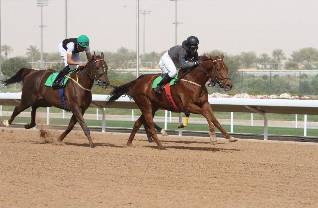 السعودية مضاوي القحطاني أول فارسة تشارك في سباق ميدان الجنادرية